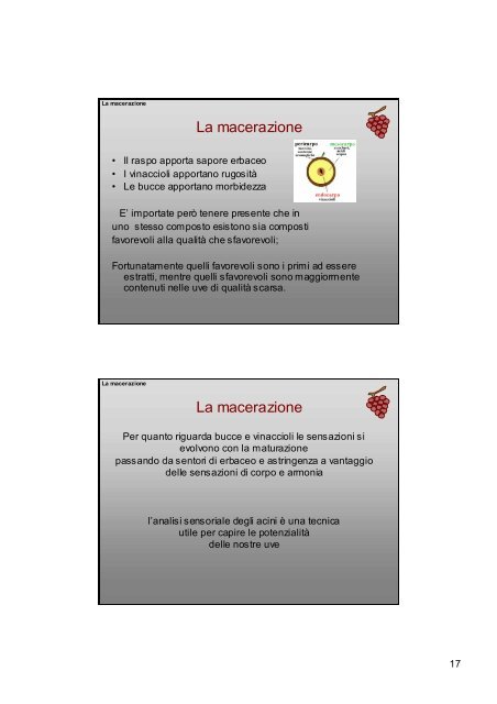 La Vinificazione in rosso.pdf - Iissmussomeli.it