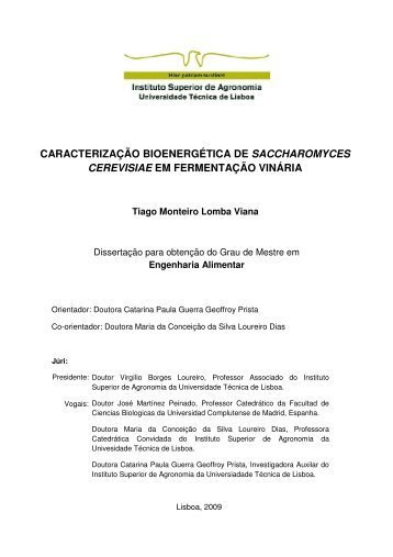 caracterização bioenergética de saccharomyces cerevisiae em ...