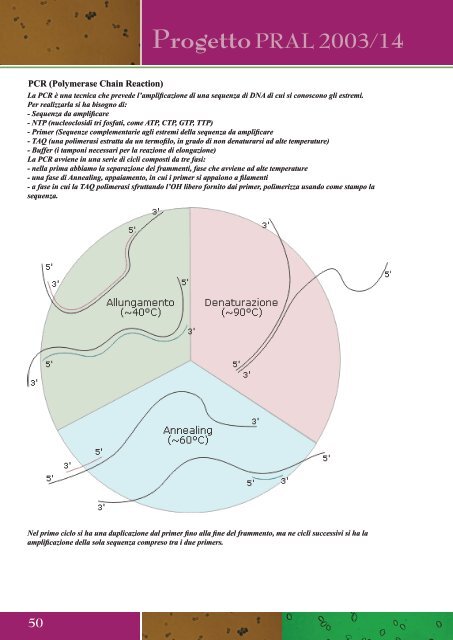 Apri file allegato (risultatiricerca.pdf) - Cra