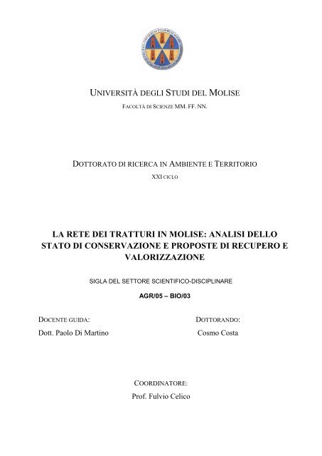 la rete dei tratturi in molise: analisi dello stato di conservazione e ...