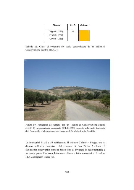 la rete dei tratturi in molise: analisi dello stato di conservazione e ...