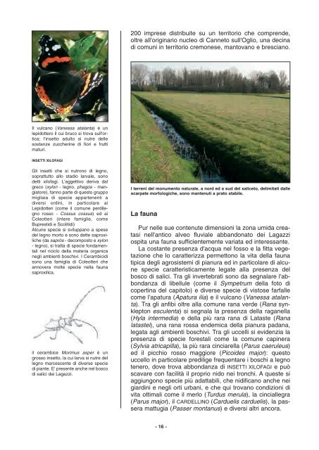 nucleo 14 - Ecomuseo della Provincia di Cremona