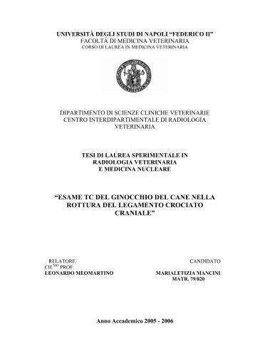 esame tc del ginocchio del cane nella rottura del legamento crociato ...