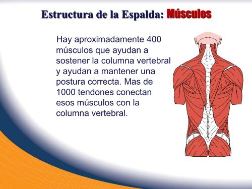 Estructura de la Espalda - Rutherford County, Tennessee