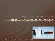 Metodi Analisi Del Suolo - Scuola21 - Fermi