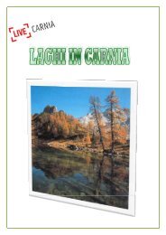 I laghi in Carnia (pdf, 2 Mb) - Turismo Friuli Venezia Giulia