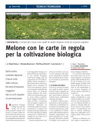 Melone con le carte in regola per la coltivazione biologica - Crpv