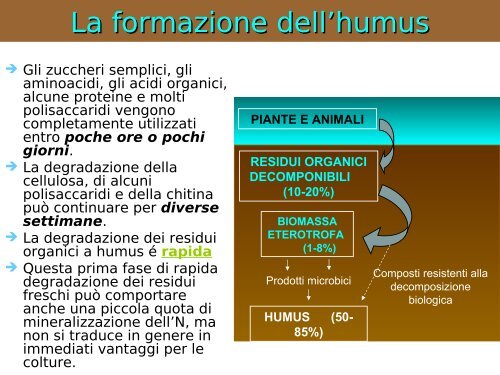 Il terreno e la SO - Associazione Studenti di Agraria IAAS Sassari