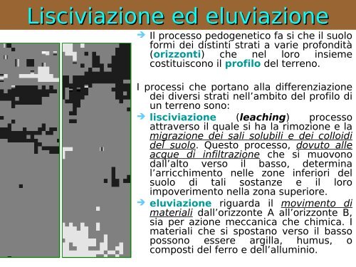 Il terreno e la SO - Associazione Studenti di Agraria IAAS Sassari