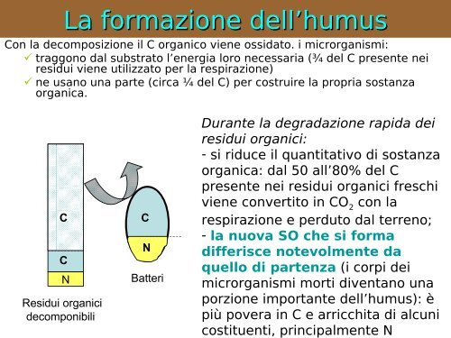 Il terreno e la SO - Associazione Studenti di Agraria IAAS Sassari