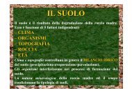 suolo 290208 - Dipartimento di Biologia