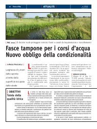 Fasce tampone per i corsi d'acqua Nuovo obbligo della ... - Edagricole