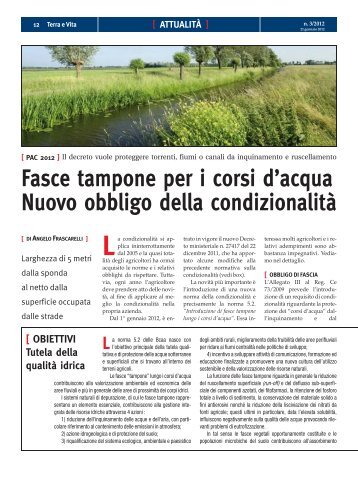 Fasce tampone per i corsi d'acqua Nuovo obbligo della ... - Edagricole