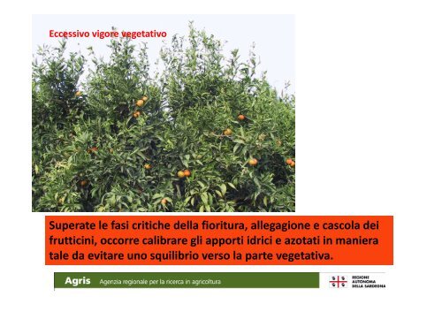 Varietà, portinnesti e tecniche colturali - Sardegna Agricoltura