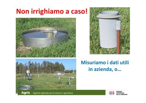 Varietà, portinnesti e tecniche colturali - Sardegna Agricoltura