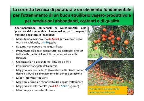 Varietà, portinnesti e tecniche colturali - Sardegna Agricoltura