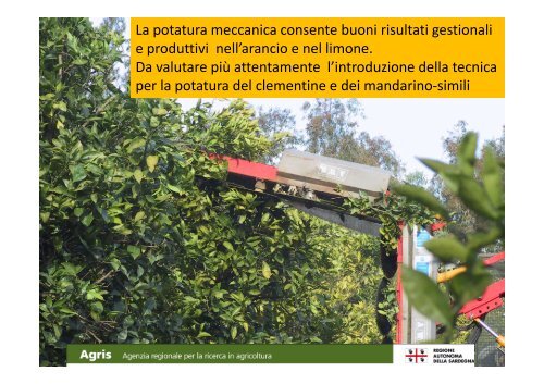 Varietà, portinnesti e tecniche colturali - Sardegna Agricoltura