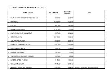 ALLEGATO 1 – IMPRESE AMMESSE E FINANZIATE NOME ...