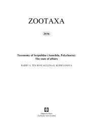 Zootaxa, Taxonomy of Serpulidae (Annelida ... - Magnolia Press