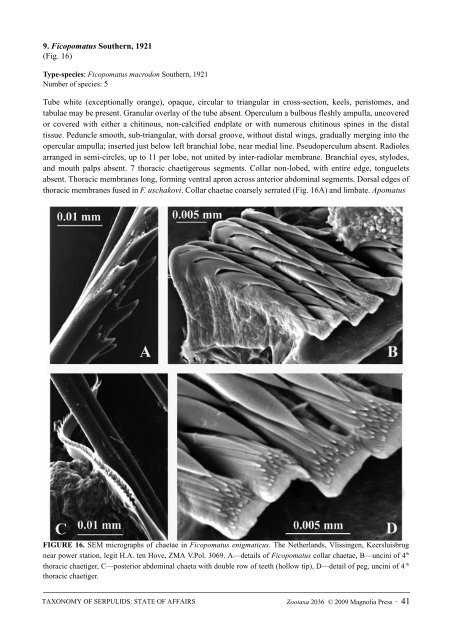 Zootaxa, Taxonomy of Serpulidae (Annelida ... - Magnolia Press