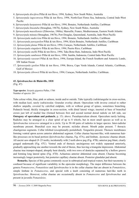 Zootaxa, Taxonomy of Serpulidae (Annelida ... - Magnolia Press