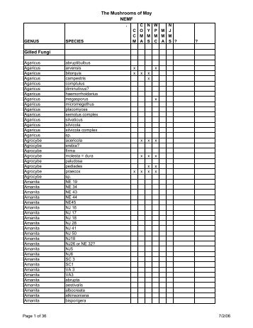 The Mushrooms of May NEMF . Gilled Fungi