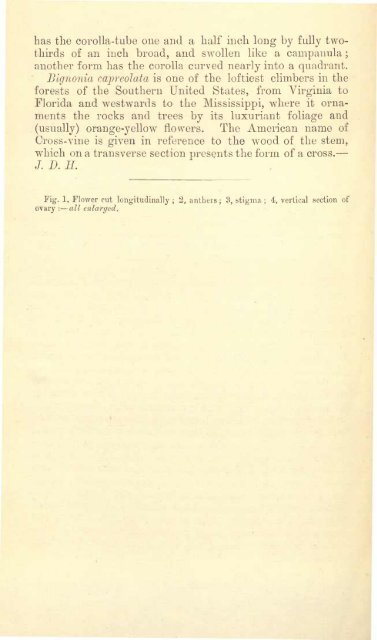 Botanical Magazine 106 - 1880.pdf - hibiscus.org