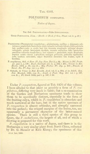 Botanical Magazine 106 - 1880.pdf - hibiscus.org