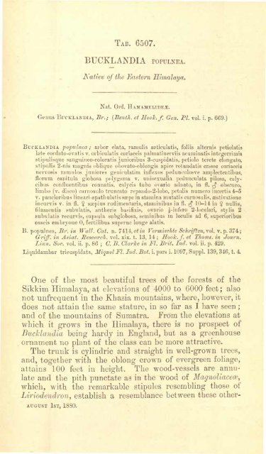 Botanical Magazine 106 - 1880.pdf - hibiscus.org