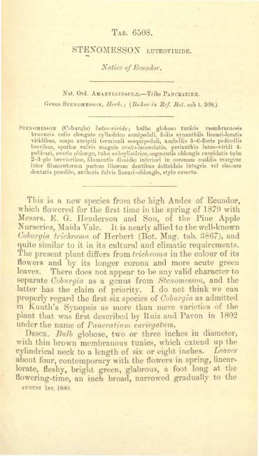 Botanical Magazine 106 - 1880.pdf - hibiscus.org