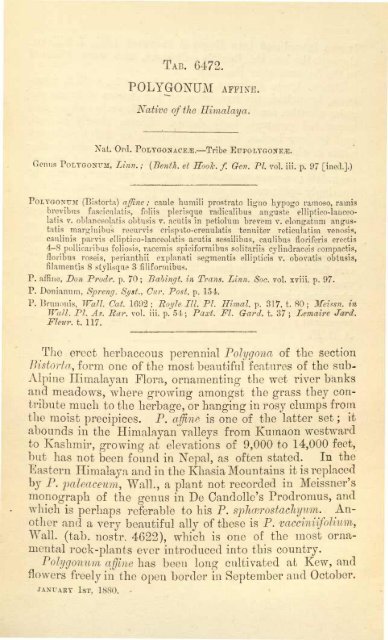 Botanical Magazine 106 - 1880.pdf - hibiscus.org