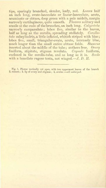 Botanical Magazine 106 - 1880.pdf - hibiscus.org