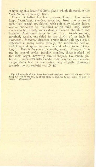 Botanical Magazine 106 - 1880.pdf - hibiscus.org