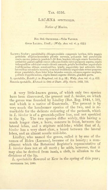 Botanical Magazine 106 - 1880.pdf - hibiscus.org