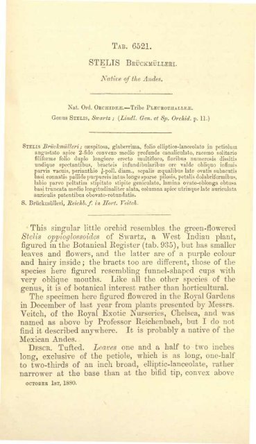 Botanical Magazine 106 - 1880.pdf - hibiscus.org