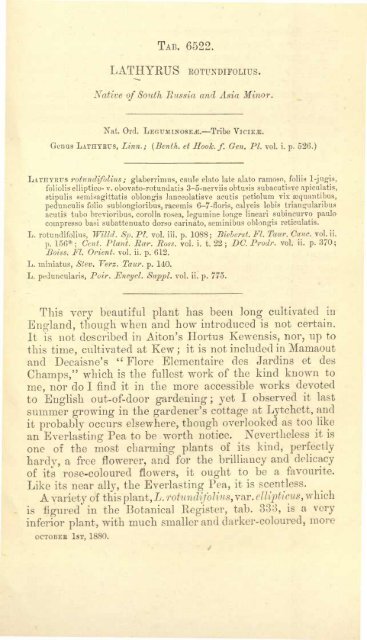 Botanical Magazine 106 - 1880.pdf - hibiscus.org