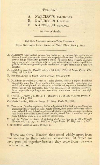 Botanical Magazine 106 - 1880.pdf - hibiscus.org