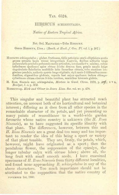 Botanical Magazine 106 - 1880.pdf - hibiscus.org