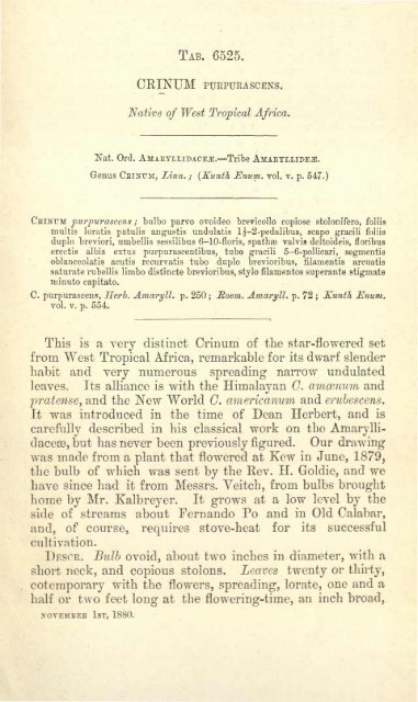 Botanical Magazine 106 - 1880.pdf - hibiscus.org