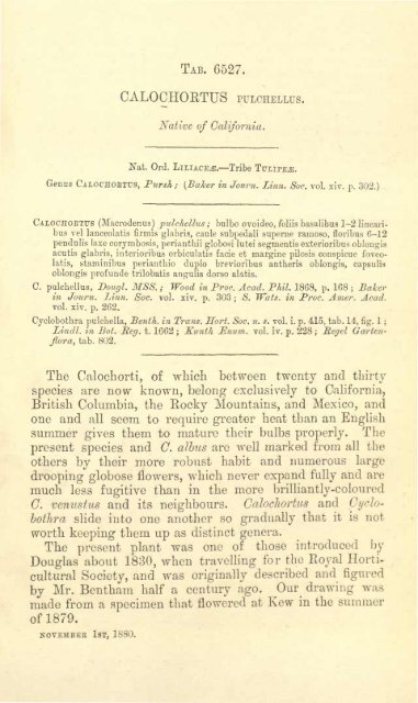 Botanical Magazine 106 - 1880.pdf - hibiscus.org