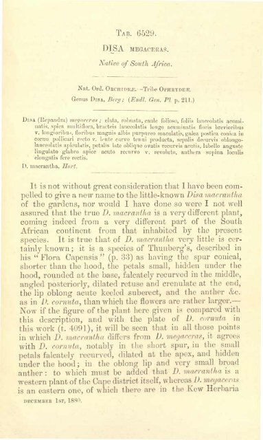 Botanical Magazine 106 - 1880.pdf - hibiscus.org