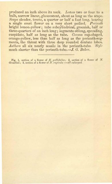 Botanical Magazine 106 - 1880.pdf - hibiscus.org