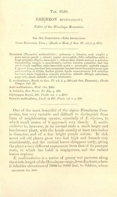 Botanical Magazine 106 - 1880.pdf - hibiscus.org