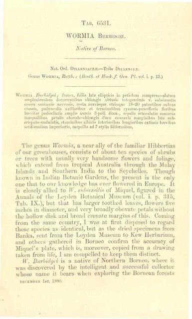 Botanical Magazine 106 - 1880.pdf - hibiscus.org