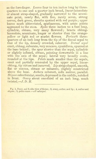 Botanical Magazine 106 - 1880.pdf - hibiscus.org