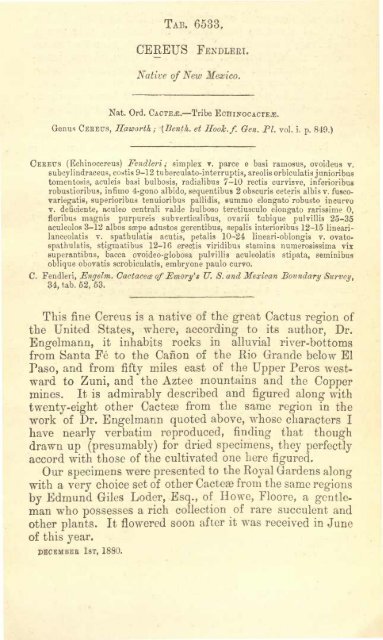 Botanical Magazine 106 - 1880.pdf - hibiscus.org