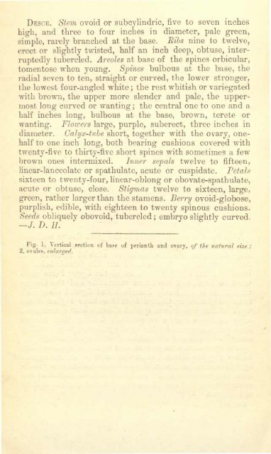 Botanical Magazine 106 - 1880.pdf - hibiscus.org