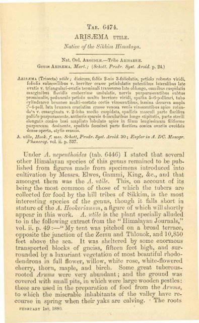 Botanical Magazine 106 - 1880.pdf - hibiscus.org