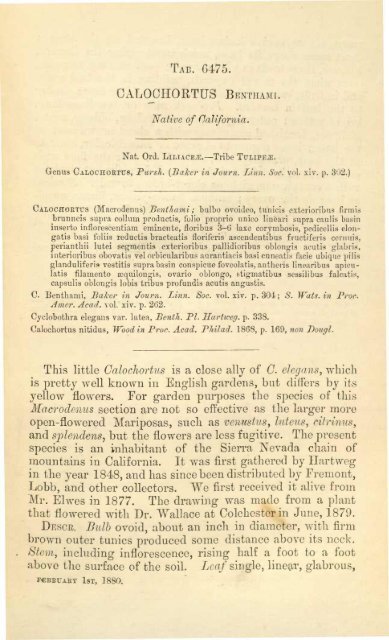 Botanical Magazine 106 - 1880.pdf - hibiscus.org