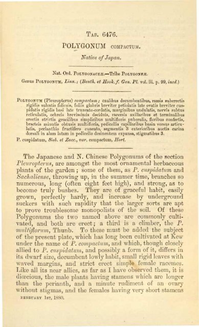 Botanical Magazine 106 - 1880.pdf - hibiscus.org